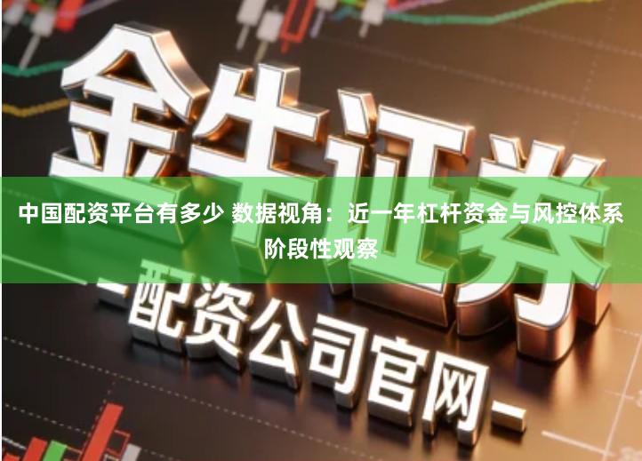 中国配资平台有多少 数据视角：近一年杠杆资金与风控体系阶段性观察