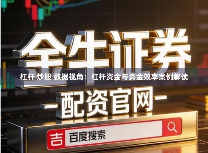 杠杆 炒股 数据视角：杠杆资金与资金效率案例解读